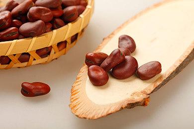 龙族崛起？《魔兽世界》新资料片名称或为Dragonflight